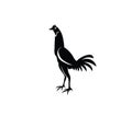 Rooster Art Logo Silhouette Royalty Free Stock Photo