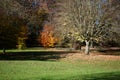 Holywells Park, UK, colors of autumn leaves Royalty Free Stock Photo