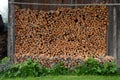 Logs in front of a wall Royalty Free Stock Photo