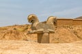 Homa Bird in Persepolis