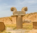 Homa Bird in Persepolis