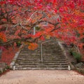 Homangu Kamado shrine located at Mt. Homan, venerated from ancient times as a sacred mountain, the