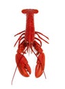 HOMARD CUIT