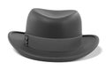 Homburg hat Royalty Free Stock Photo