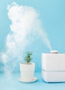 home air freshener and humidifier to clean the air and humidify the house plants