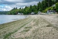 Dash Point Waterfront Homes 5 Royalty Free Stock Photo