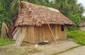 Home in an Amazon Village Royalty Free Stock Photo