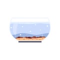 Home aquarium with water and sandy bottom.