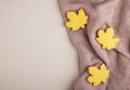 Home autumn background of yellow gingerbread leaves on a soft wool blanket top view, space for text