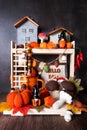 Home autumn decoration on the table with knitted pumpkins, mushrooms made of fabric, gnomes, wooden houses, garland and leaves.