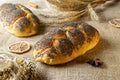 Home baked bread. Rye bakery with crusty loaves and crumbs. Fresh rustic traditional bread with poppy seeds, wheat grain ear on Royalty Free Stock Photo