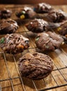 Home baked chocolate cookies cooling on a rack Royalty Free Stock Photo