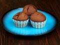 Home baked cocoa muffins set on a blue plate