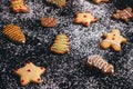 Home baked cookies on sugar powdered background