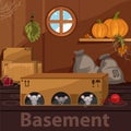 Home basement with rodents, boxes and food