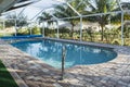 Home beautiful swimming pool with blue water and palms