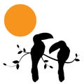 Toucan Silhouette on Branch on sunset, Vector. Bird couple silhouette on branch isolated on white background