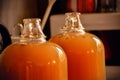 Home brew wine waiting to be bottled Royalty Free Stock Photo