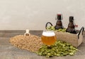 Home brewing concept. Graft beer with ingredients