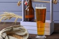 Home brewing concept. Make a lager beer with natural ingredients. Still life with beer and barley on wooden background Royalty Free Stock Photo