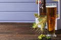 Home brewing concept. Make a lager beer with natural ingredients. Still life with hops, beer and barley on a wooden background. Royalty Free Stock Photo