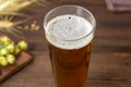 Home brewing concept. Still life with hops, beer and barley on a wooden background. Close-up. Make a lager beer with natural Royalty Free Stock Photo