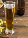 Home brewing concept. Still life with hops, beer and barley on a wooden background. Close-up. Make a lager beer with natural Royalty Free Stock Photo