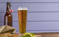 Home brewing concept. Still life with hops, beer and barley on a wooden background. Make a lager beer with natural ingredients. Royalty Free Stock Photo