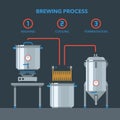 Home brewing infographic process. Royalty Free Stock Photo