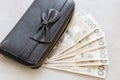 Rich girl or woman from Poland, black purse with a bow, full of polish money. Royalty Free Stock Photo