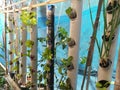 Home build vertical aquaponics system