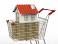 Home buyer concept with mock up house and gold coins in shopping