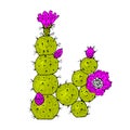 Home cactus plants or flower. Cozy cute element. Exotic or tropical succulent with prickles. Engraved hand drawn in old