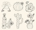 Home cactus plants and flowers. Set of cozy cute elements. Collection of Exotic or tropical succulents with prickles
