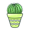 Home cactus pot, succulent green flower decor Royalty Free Stock Photo