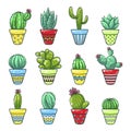 Home cactus set