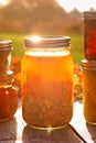 Home Canned Chicken Soup Royalty Free Stock Photo