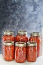 Home Canned Jars of Homemade Salsa