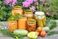 Home canning, canned vegetables Royalty Free Stock Photo