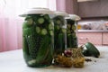 Home canning homemade canned cucumbers salted harvesting vegetables for the winter
