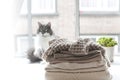 Home Cat on the window, a lot of winter warm clothes and a scarf. Cozy atmosphere and the city outside the window.