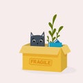 Home change illustration with a cat