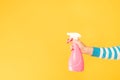 Home cleaning chore hand atomizer copy space Royalty Free Stock Photo