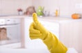 Home cleaning concept Royalty Free Stock Photo