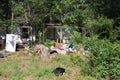 a home is completely surrounded by trees and junk it is not for the real sale Royalty Free Stock Photo