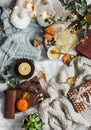 Home coziness still life - soft slippers, knitted sweater, plaid, green tea with honey, tangerines, dry leaves, books, garland, Royalty Free Stock Photo