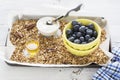 Home crispy golden granola mixture of flakes and nuts Royalty Free Stock Photo