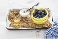 Home crispy golden granola mixture of flakes and nuts Royalty Free Stock Photo