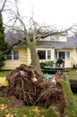 Home damage caused fallen tree Royalty Free Stock Photo