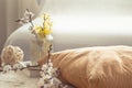 Home decor in the living room on a wooden background with spring flowers Royalty Free Stock Photo